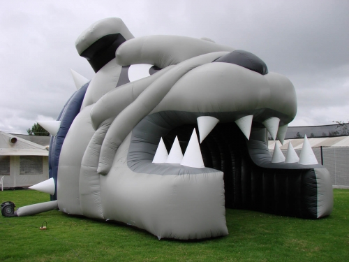 custom inflatable dome